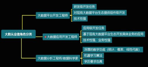 大數(shù)據(jù)開(kāi)發(fā)工程師與數(shù)據(jù)經(jīng)濟(jì)信息咨詢 技能融合與職業(yè)發(fā)展
